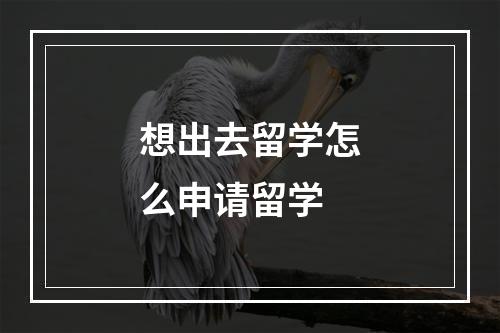 想出去留学怎么申请留学