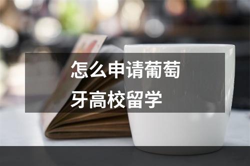 怎么申请葡萄牙高校留学