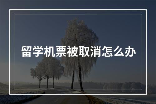 留学机票被取消怎么办