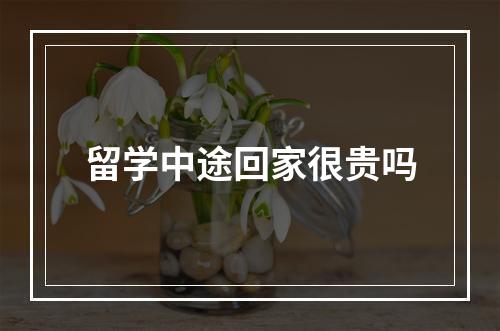 留学中途回家很贵吗