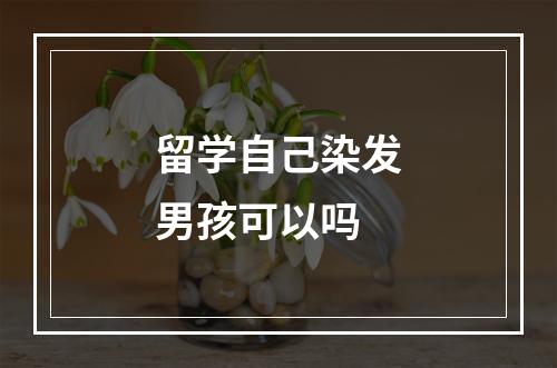 留学自己染发男孩可以吗