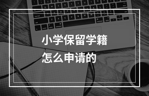 小学保留学籍怎么申请的