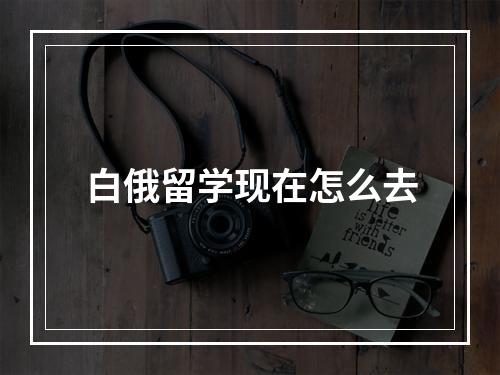 白俄留学现在怎么去