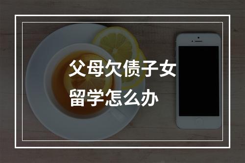 父母欠债子女留学怎么办