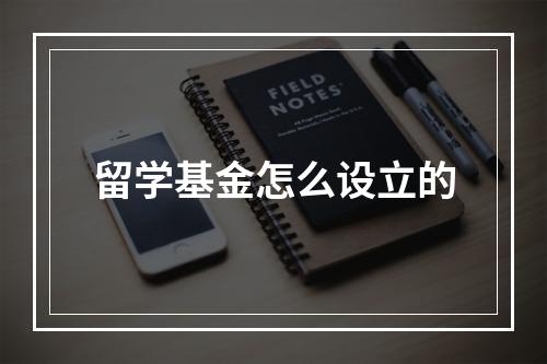 留学基金怎么设立的