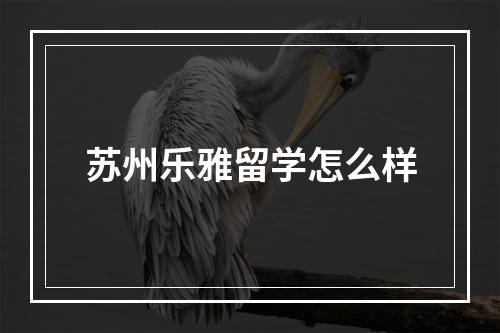 苏州乐雅留学怎么样