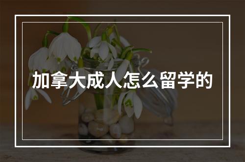 加拿大成人怎么留学的