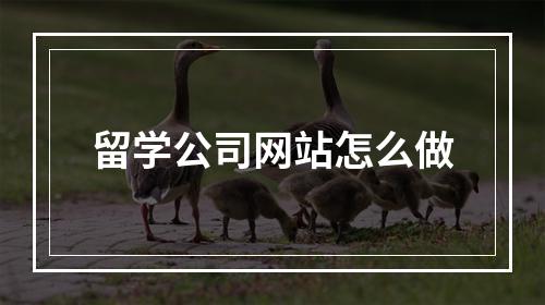 留学公司网站怎么做