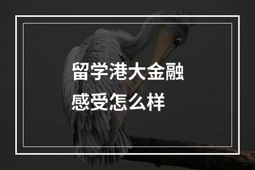 留学港大金融感受怎么样