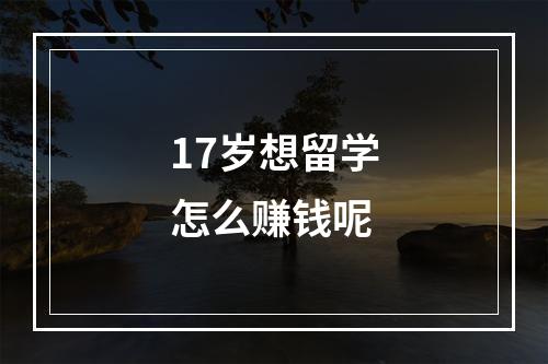 17岁想留学怎么赚钱呢