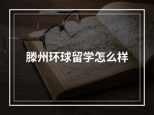 滕州环球留学怎么样