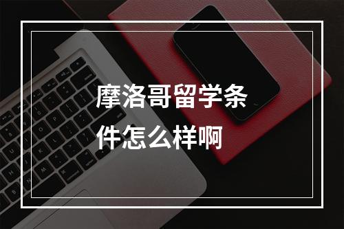 摩洛哥留学条件怎么样啊