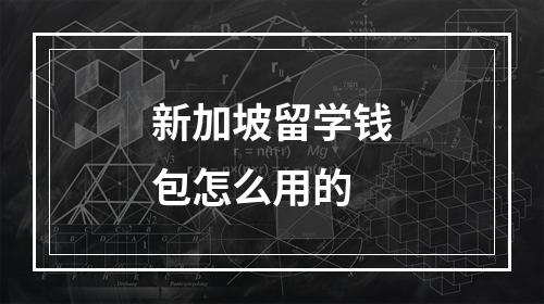 新加坡留学钱包怎么用的