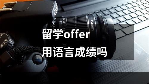 留学offer用语言成绩吗