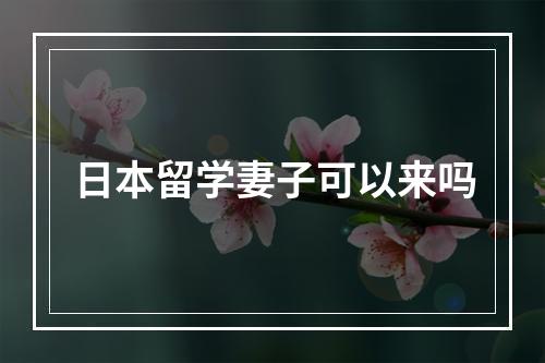 日本留学妻子可以来吗