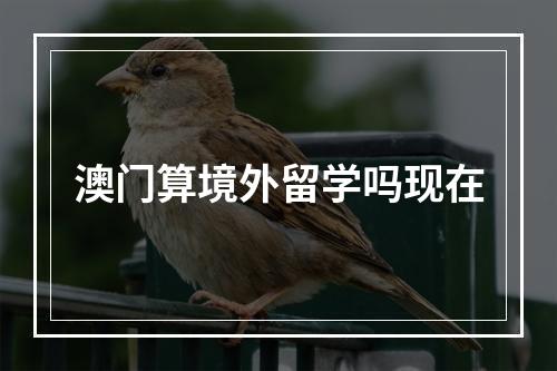 澳门算境外留学吗现在