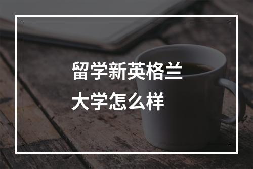 留学新英格兰大学怎么样