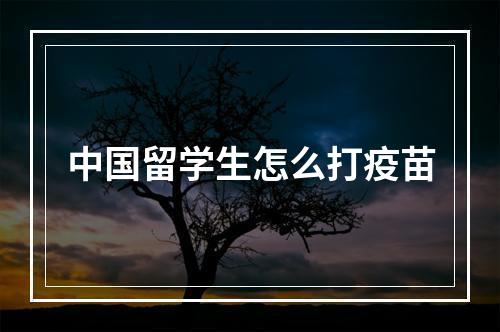 中国留学生怎么打疫苗