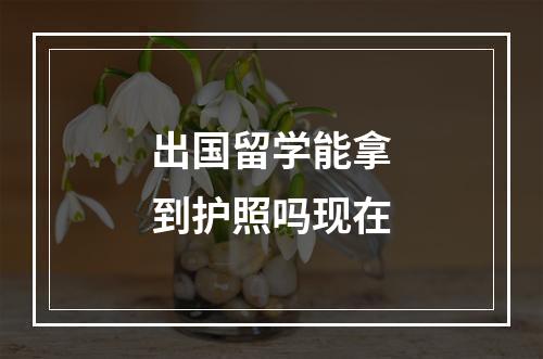 出国留学能拿到护照吗现在