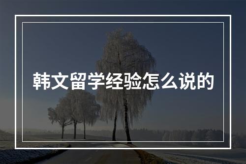 韩文留学经验怎么说的