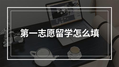 第一志愿留学怎么填