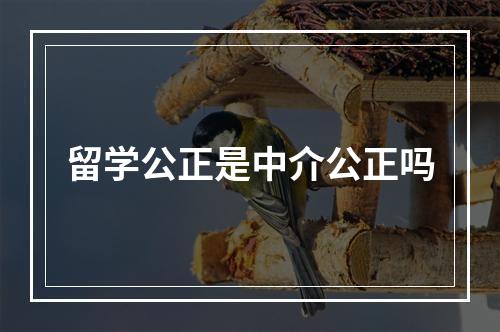 留学公正是中介公正吗