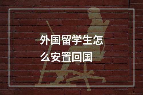 外国留学生怎么安置回国