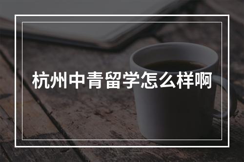 杭州中青留学怎么样啊