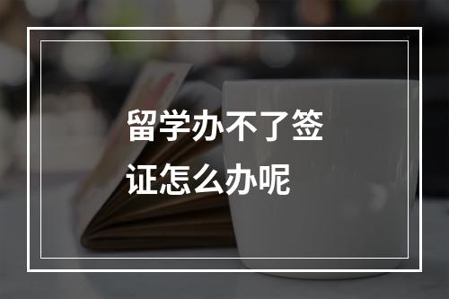 留学办不了签证怎么办呢