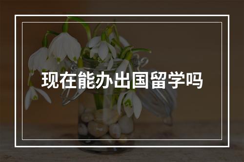 现在能办出国留学吗