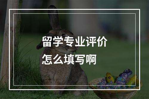 留学专业评价怎么填写啊