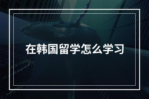 在韩国留学怎么学习