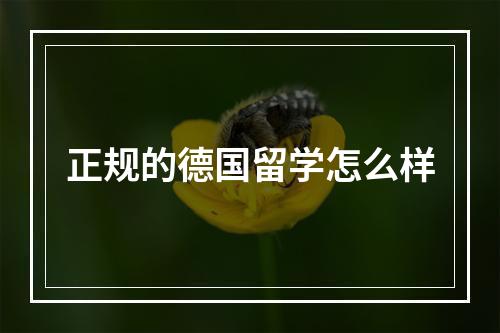 正规的德国留学怎么样