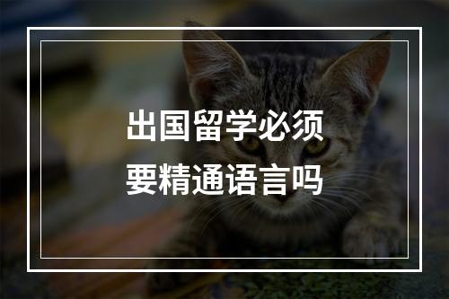 出国留学必须要精通语言吗