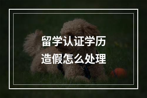 留学认证学历造假怎么处理