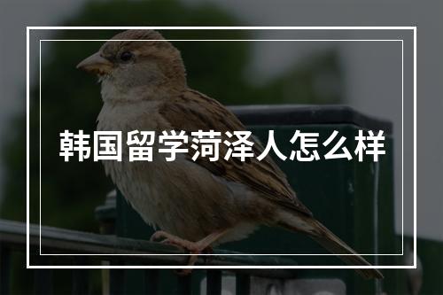 韩国留学菏泽人怎么样