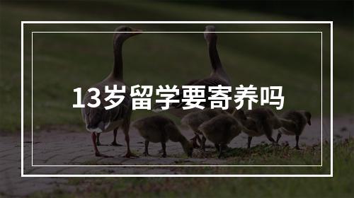 13岁留学要寄养吗