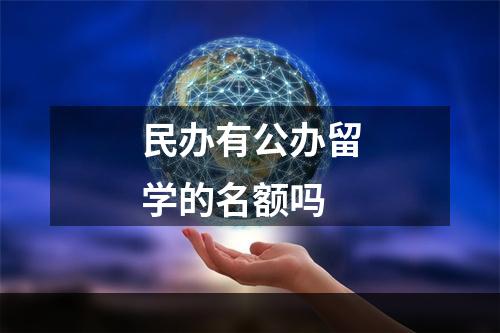 民办有公办留学的名额吗