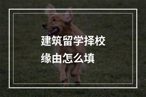 建筑留学择校缘由怎么填