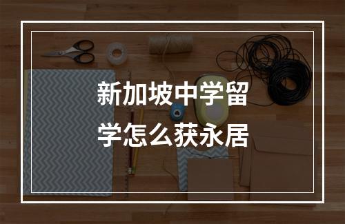 新加坡中学留学怎么获永居