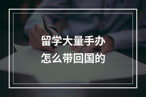 留学大量手办怎么带回国的