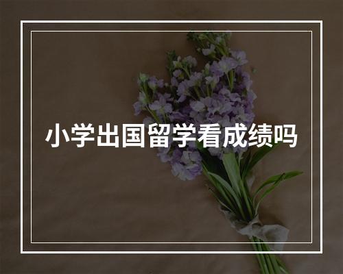 小学出国留学看成绩吗