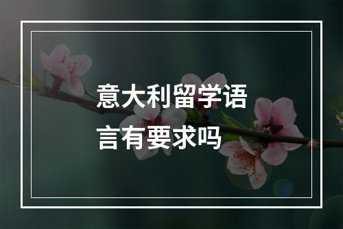 意大利留学语言有要求吗