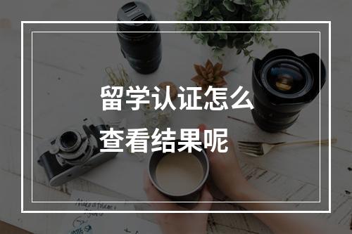 留学认证怎么查看结果呢