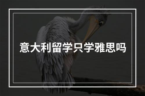 意大利留学只学雅思吗