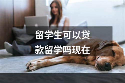 留学生可以贷款留学吗现在