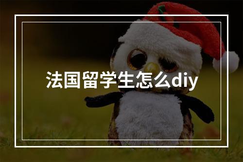 法国留学生怎么diy