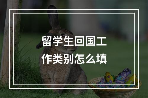 留学生回国工作类别怎么填