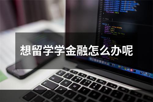 想留学学金融怎么办呢