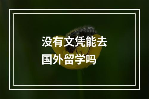 没有文凭能去国外留学吗